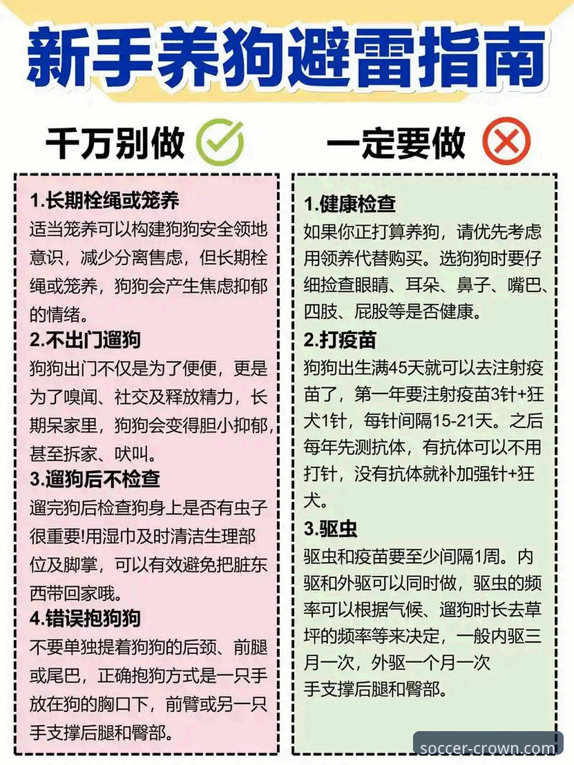 资深用户亲测：皇冠足球登录入口对比，如何选对版本少走弯路